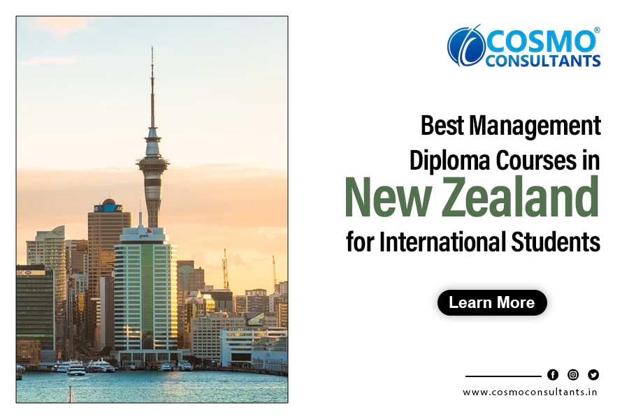 Best-Management-Diploma-Courses-in-New-Zealand