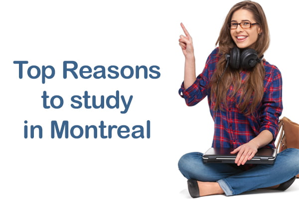 study-in-montreal